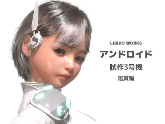 2D+3DVR動画 アンドロイド 試作3号機 鑑賞編 [LIBIDO WORKS] | DLsite 同人 - R18