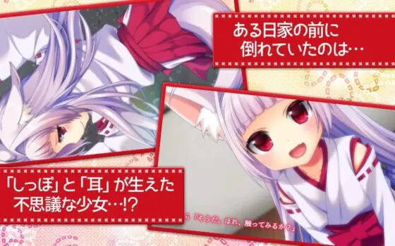 みこぱこ!しゅららちゃん もふもふロリ巫女とのイチャラブセックスライフ(モーションコミック版)(survive) - FANZA同人