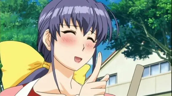 マドンナ ~完熟ボディCollection~THE ANIMATION