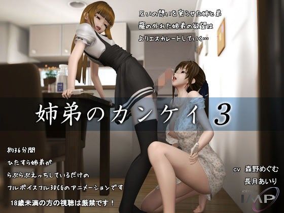 姉弟のカンケイ3(IMP)|FANZA同人