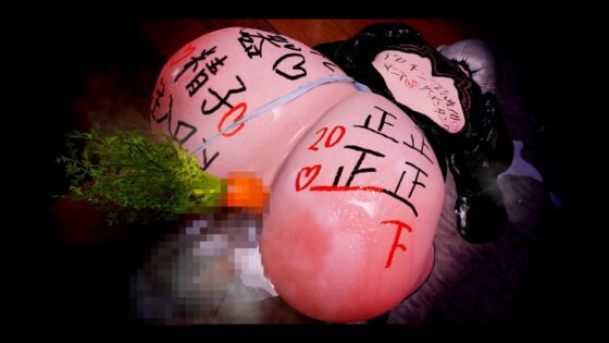 【NTR】爆乳むちむち便女ロイド 人質をとられ何百日も回され続け… 後編【孕ませ連続中出し】(dance carnival)｜FANZA同人