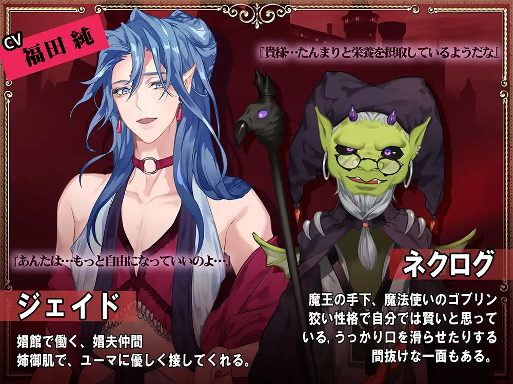 【動画】魔王を拒否したら 娼館に堕とされました (2) 娼館編 [マロジェラ] | DLsite がるまに