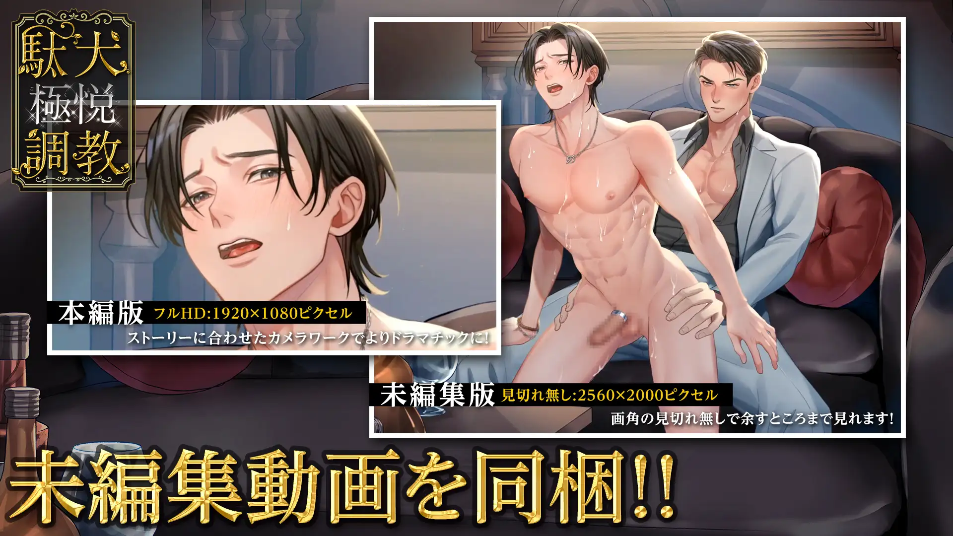 【Full Live2D】駄犬極悦調教 - 執着オーナー×No.1ホストのお仕置きS●X [ペロQ] | DLsite がるまに