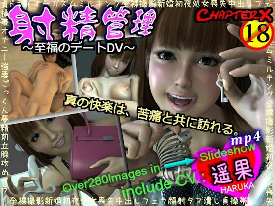 射精管理〜至福のデートDV〜(ChapterX) - FANZA同人