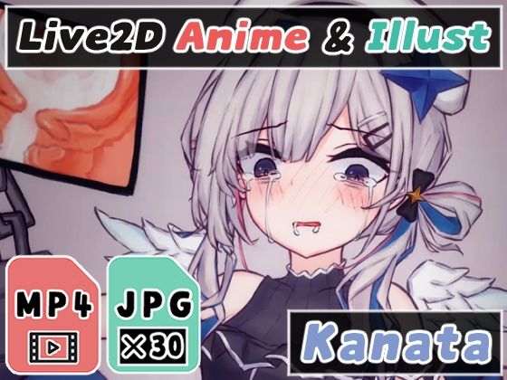 【2Dアニメ】赤ちゃん汁を子宮に強●注入、孕めッ！子ども産んでッ！妊娠してくれ〜！(Nizipaco) - FANZA同人