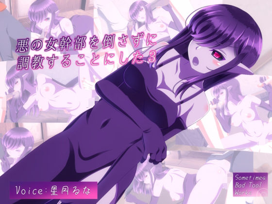 悪の女幹部を倒さずに調教することにした3(SometimesBadTool) - FANZA同人