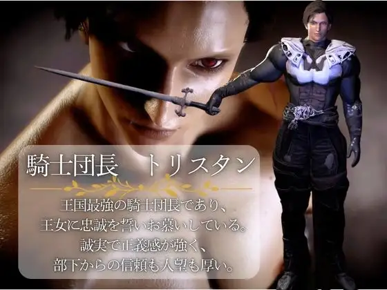 【3D】絶倫イケメン騎士団長と王女様の寝室ラブラブえっちで射精回数17回 [パラレル] | DLsite がるまに