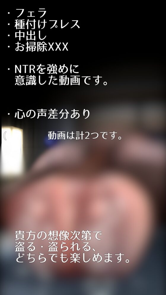 す■ちゃんのハメ撮り旅行 [ozo] | DLsite 同人 - R18