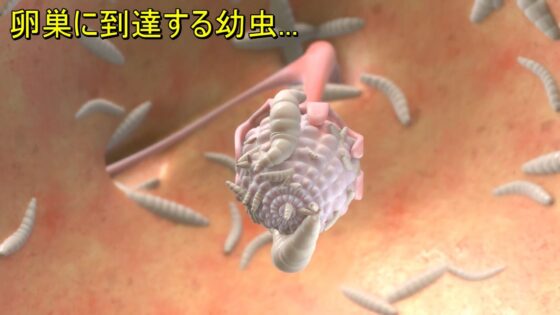 巨大バエに孕まされる眼鏡っ子JK(湖畔の家) - FANZA同人