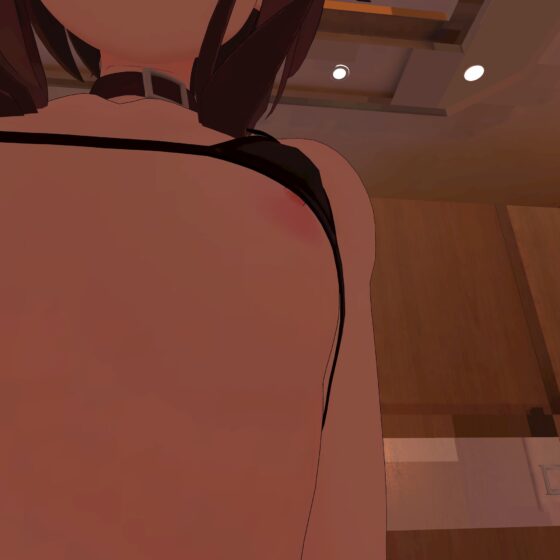 【VR対応】め〇みんとホテルで騎乗位えっち【日本語/English】 [あーるあーるあーる] | DLsite 同人 - R18