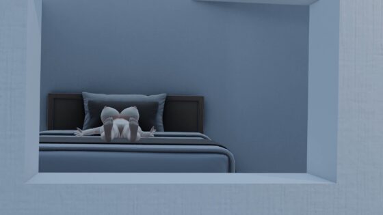 【100円動画】巨乳少女と壁の穴 [猫の絵ギャラリー]