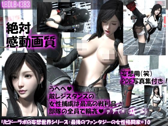 【△100●100】リビドーラボの妄想世界シリーズ:最後のファンタジーの女性格闘家＃10(Libido-Labo) - FANZA同人
