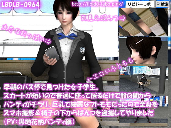 早朝のバス停で見つけた女子学生。スカートが短いので普通に座って居るだけで股の間からパンティがチラリ。巨乳で綺麗なフトモモだったので全身をスマホ撮影＆椅子の下からぱんつを盗撮してやりました（PV:黒地花柄パンティ編）(Libido-Labo) - FANZA同人