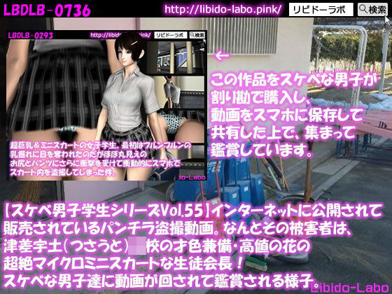 ●【スケベ男子学生シリーズVol.55】インターネットに公開されて販売されているパンチラ盗撮動画。なんとその被害者は、津差宇土（つさうと）学校の才色兼備・高値の花の超絶マイクロミニスカートな生徒会長！スケベな男子達に動画が回されて鑑賞される様子。(Libido-Labo) - FANZA同人
