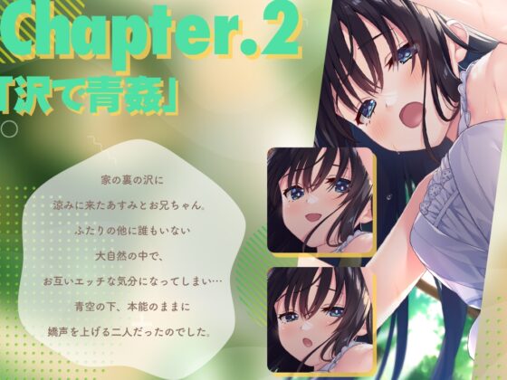 ド田舎兄妹、超高解像度H動画&CG集vol1 [Whisp] | DLsite 同人 - R18