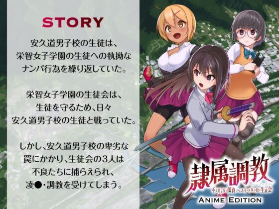 隷属調教 不良男子校の餌食になるエリート女子校生徒会 Anime Edition(ani-mo) - FANZA同人