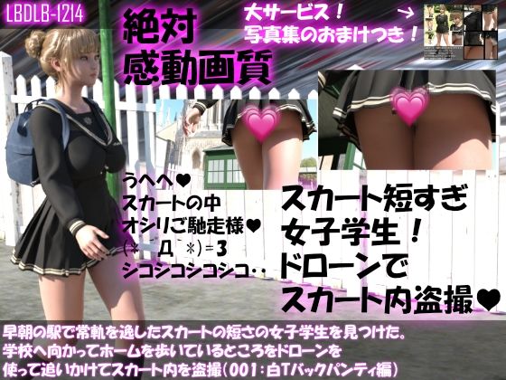早朝の駅で常軌を逸したスカートの短さの女子学生を見つけた。学校へ向かってホームを歩いているところをドローンを使って追いかけてスカート内を盗撮（9本パンティバリエーション全部入り総集編）(Libido-Labo) - FANZA同人
