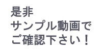 【￥All△100】3DCGバーチャルグラビアアイドル『紀美野明梨（きみのあかり）』のアダルトビデオ「日本庭園〜白昼夢〜（OL風着衣Ver）」(Libido-Labo) - FANZA同人