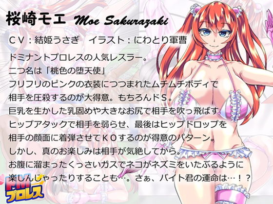 ドMプロレス3 - フリフリ衣装のギャルレスラーに完全敗北！ -(サークルSBD) - FANZA同人