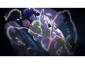 搾精病棟 THE ANIMATION 第2巻 ～クロカワ編～