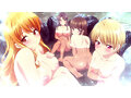 ハーレムきゃんぷっ！【プレミアム版】