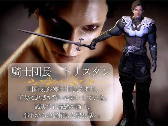 【3D】絶倫イケメン騎士団長と王女様の寝室ラブラブえっちで射精回数17回 [パラレル] | DLsite がるまに