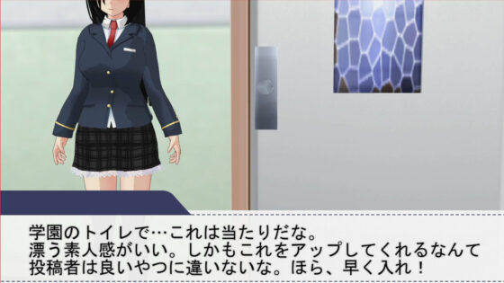 妹は隠れビッチ！？〜ネットで見つけたハメ撮り動画〜(.ini.) - FANZA同人