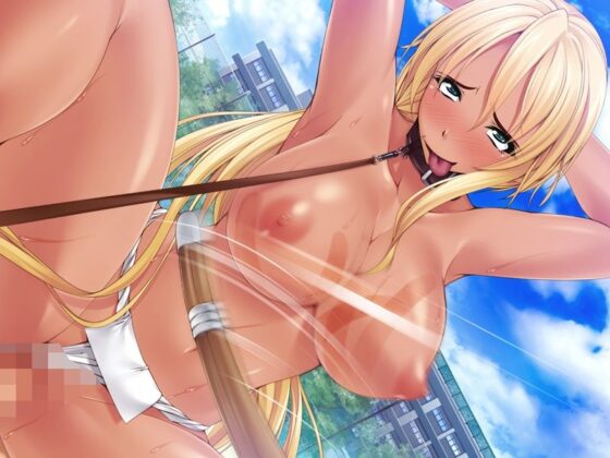 動画版巨根で生ハメ王になれる学園〜女子学生みんな孕ませ肉オナホれすッ！いつでもどこでも精子様を排泄して卵子屈服させてくらしゃいっ♪〜(Norn/Miel/Cybele) - FANZA同人