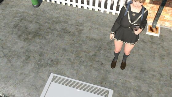 【▲100】一ノ瀬廻里の電車通学中の風チラ（パンティバリエーション:青シマぱん編）(Libido-Labo) - FANZA同人
