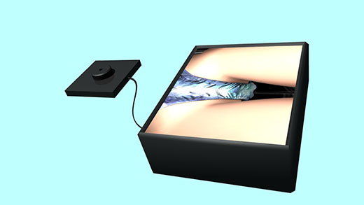 最寄り駅まで自転車で通学している激ミニちゃん。彼女の自転車のサドル部分に小型の隠しカメラを仕込み、立ちこぎをしている際のお尻をドアップで盗撮することに成功。さらにおっぱいも撮影。（PV:水色ストライプのパンティ編）(Libido-Labo) - FANZA同人