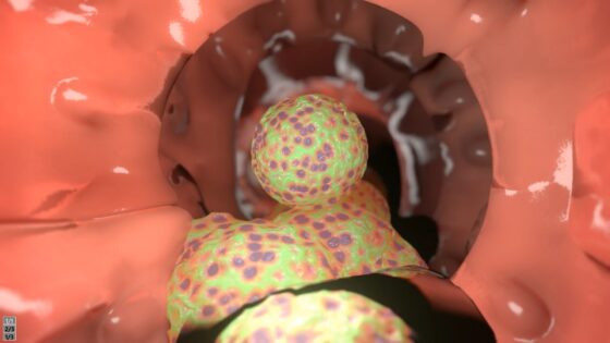 囚われた眼鏡っ子JK [湖畔の家] | DLsite 同人 - R18