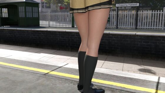 冬の早朝の駅で凄く成績優秀そうな、ナマ脚の長くて綺麗な女子学生さんを見かけたので背後から忍び寄ってスカートの中を盗撮した(Libido-Labo) - FANZA同人