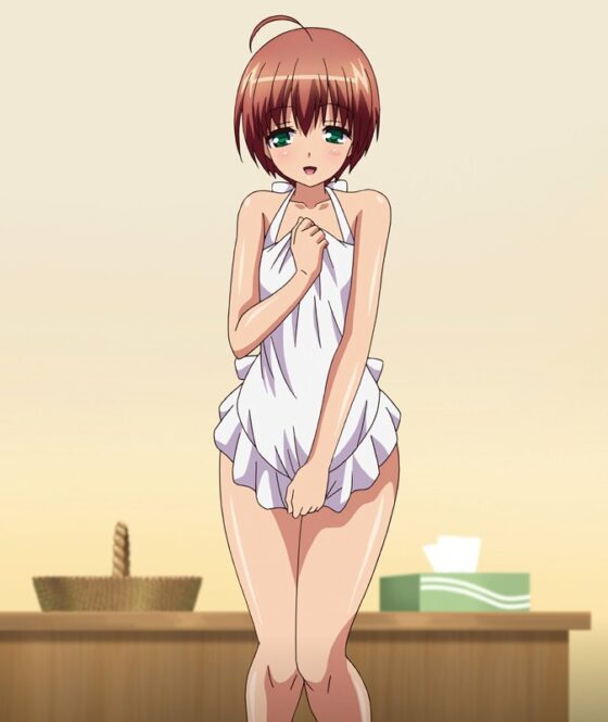 あねちじょ◆マックスハート 媚姉誘淫ファミレス風・更紗~ご注文はびっちですか◆~