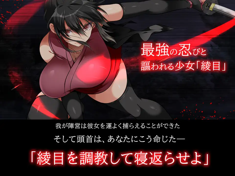 忍堕とし【動画&コミックCG集版】 [まろん☆まろん] | DLsite 同人 - R18