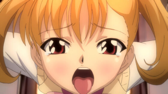 夏蟲 THE ANIMATION molester.1「ともえ」