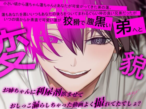 僕のことが大嫌いなお姉ちゃんを僕は愛してる [EXEXEX] | DLsite がるまに