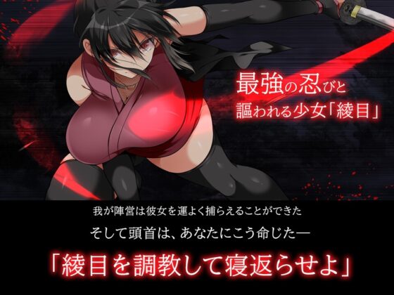 忍堕とし【動画&コミックCG集版】 [まろん☆まろん] | DLsite 同人 - R18